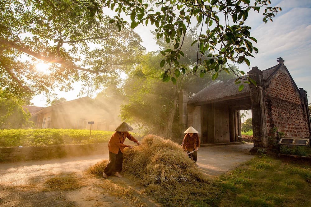 Làng Cổ Đường Lâm  - ảnh địa điểm 2