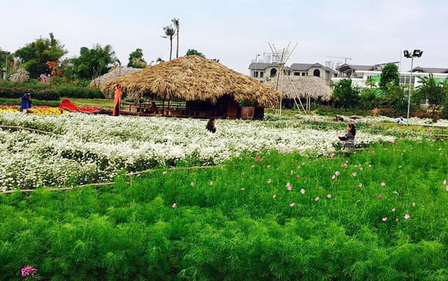 Thung lũng hoa Hồ Tây - ảnh địa điểm 2