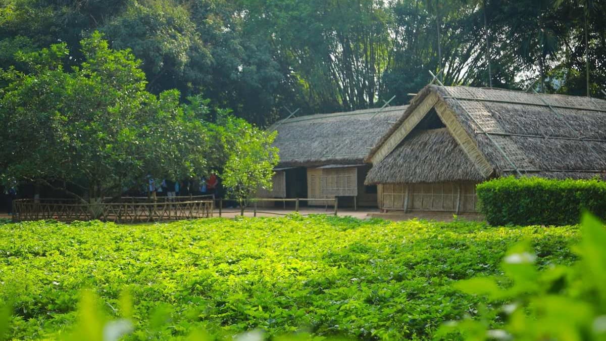 Khu di tích Kim Liên - Làng Sen